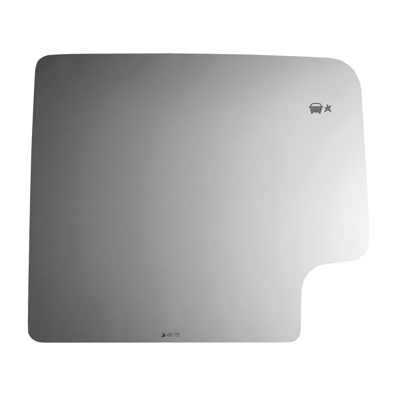 SIDE VIEW MIRROR W BLIND SPOT